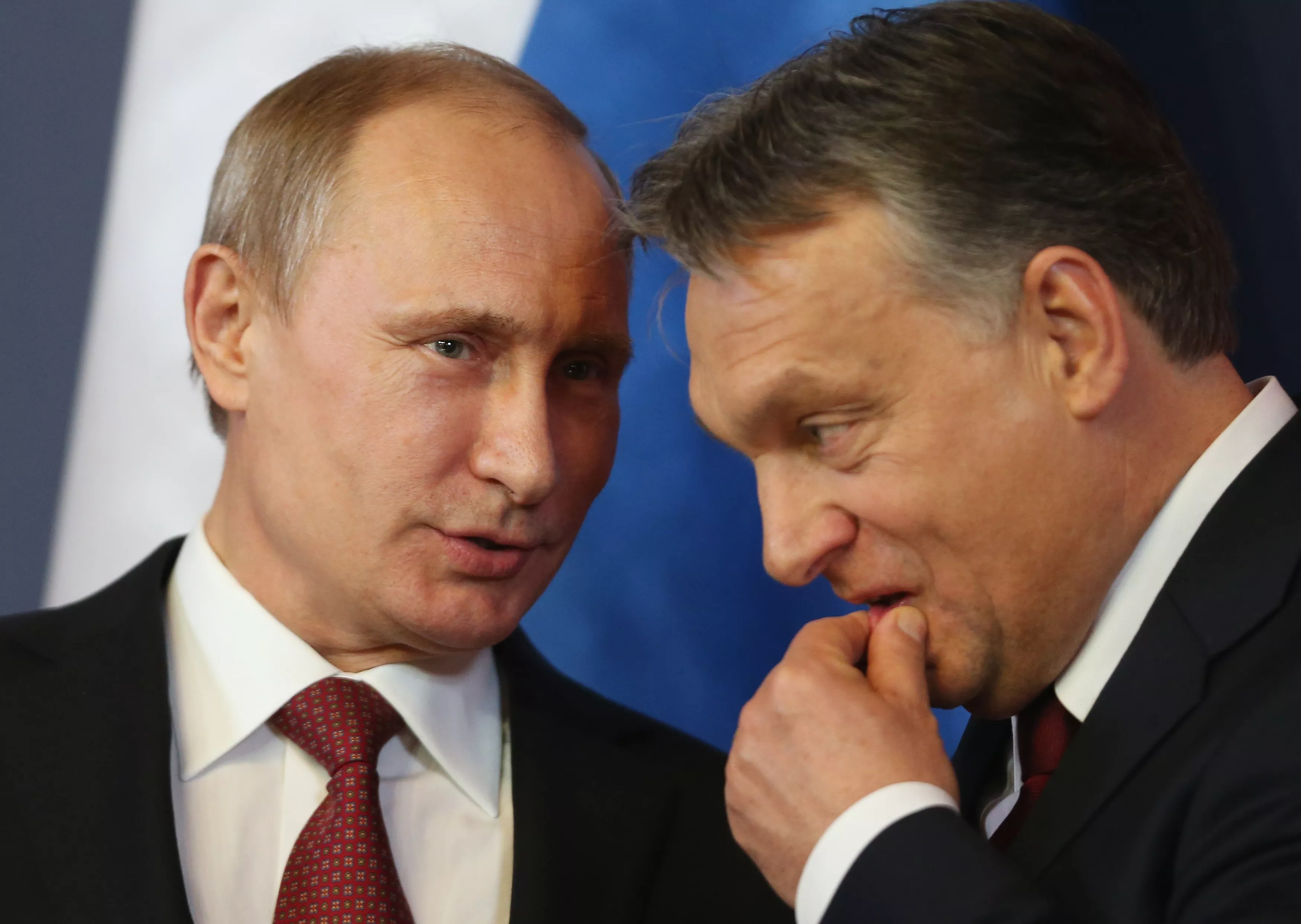 Putin allies in NATO face political turmoil