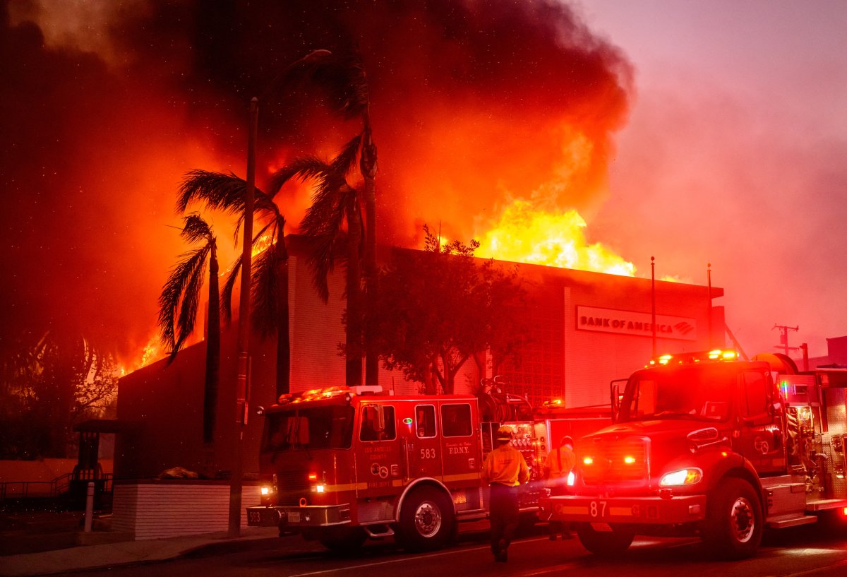 Los Angeles Wildfire