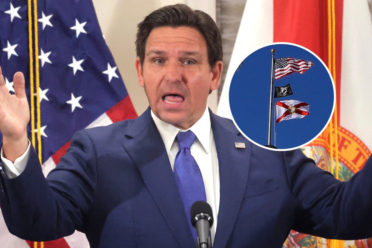 DeSantis Flag