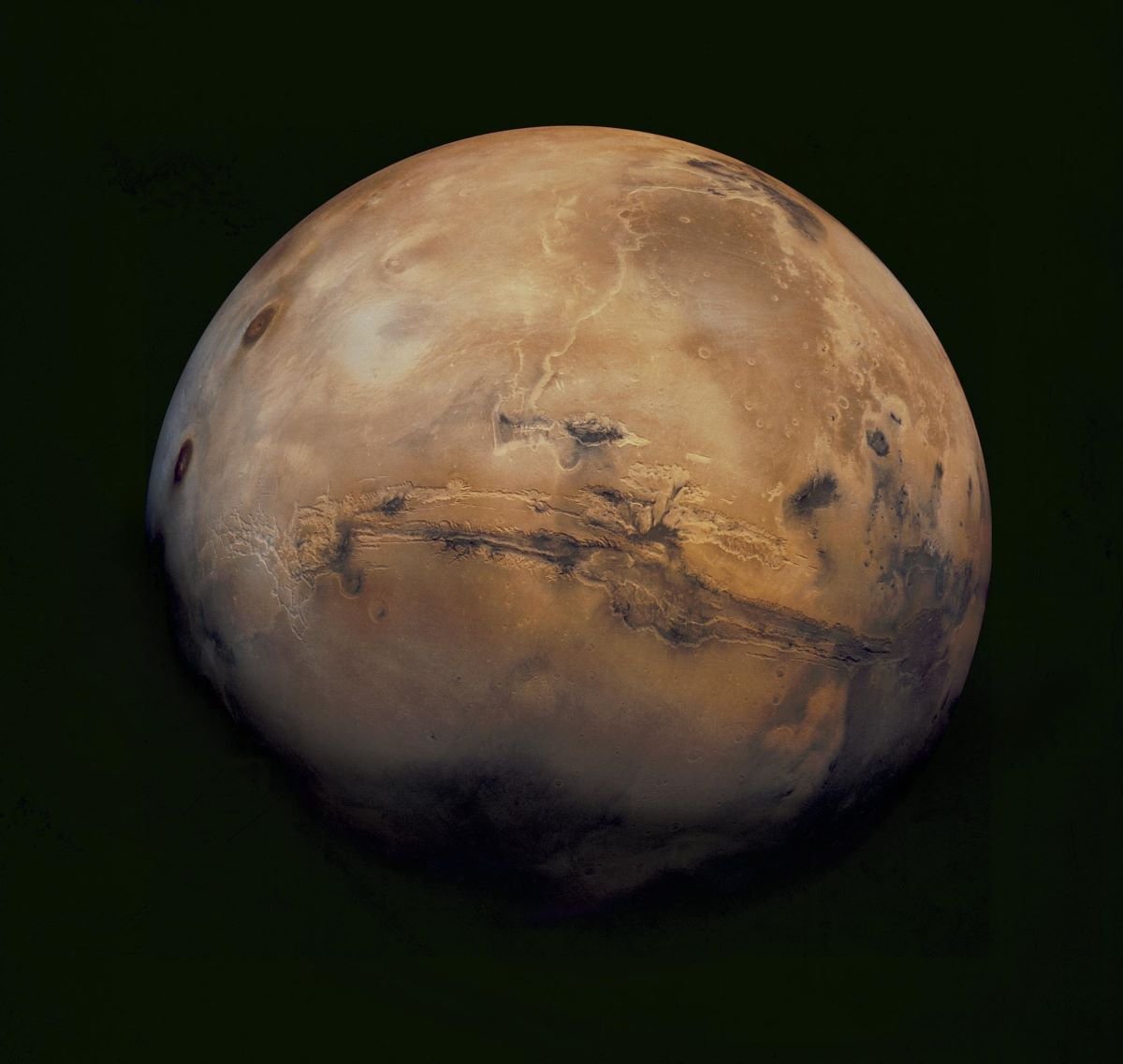 Viking mission to Mars