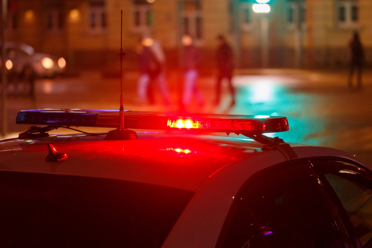 Alabama Deer Crash Shooting