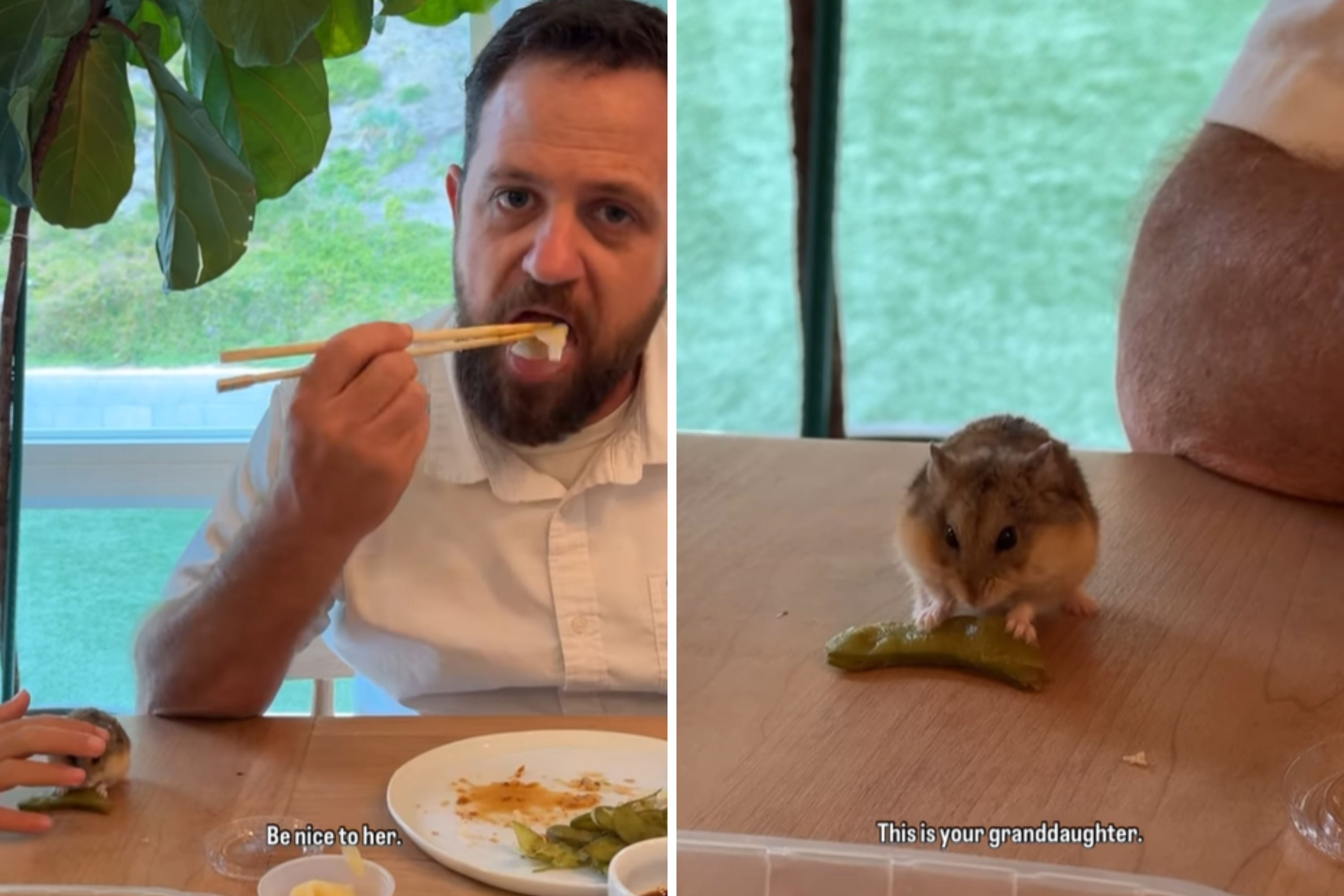 What Gen Alpha daughter insists on having at dinner table makes dad despair