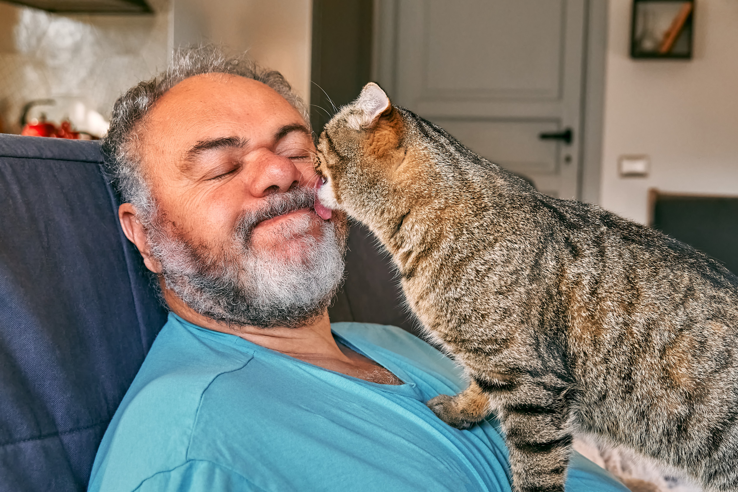 Why Cat Whose Dad Didnt Want Him Has Gone Viral