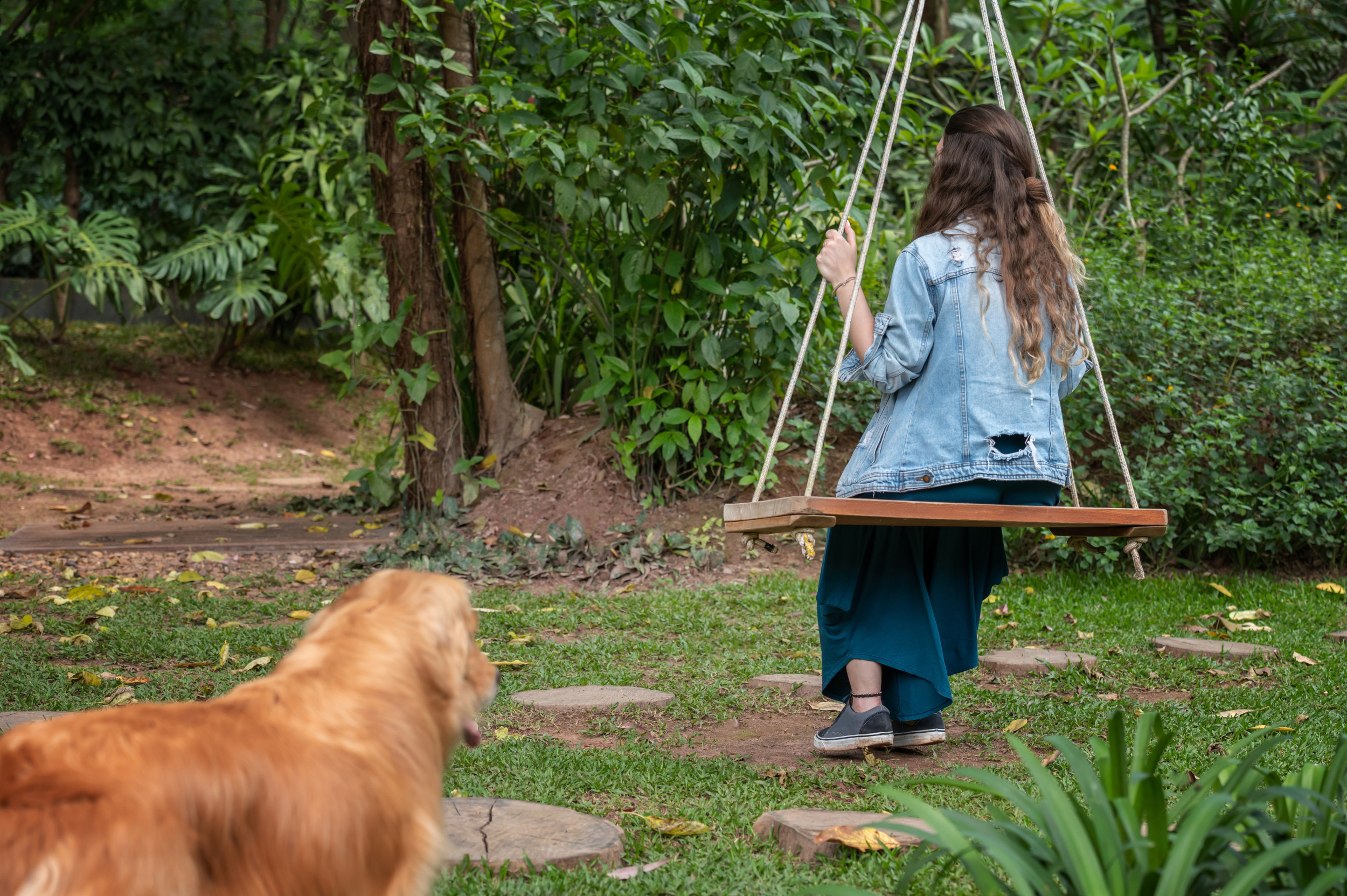 Moment Dog and Owner Create Adorable Forever Memory Captured by passerby