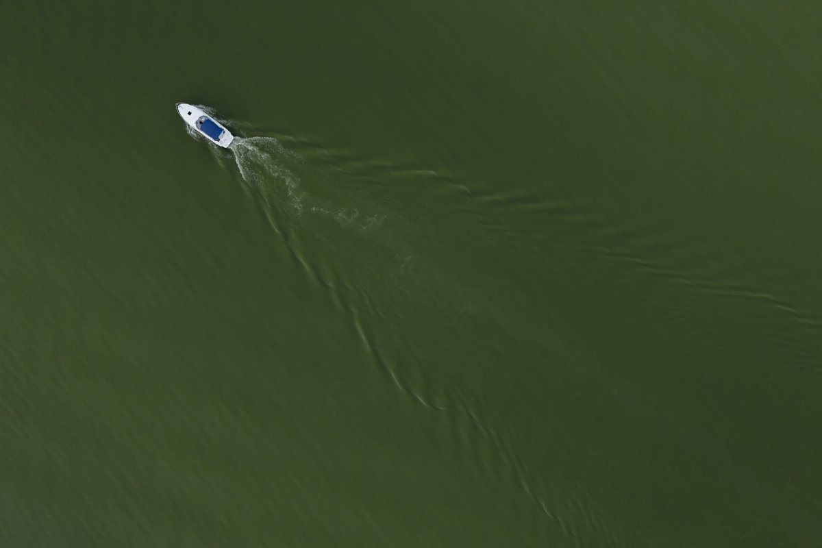 Climate Lake Erie Algae Blooms