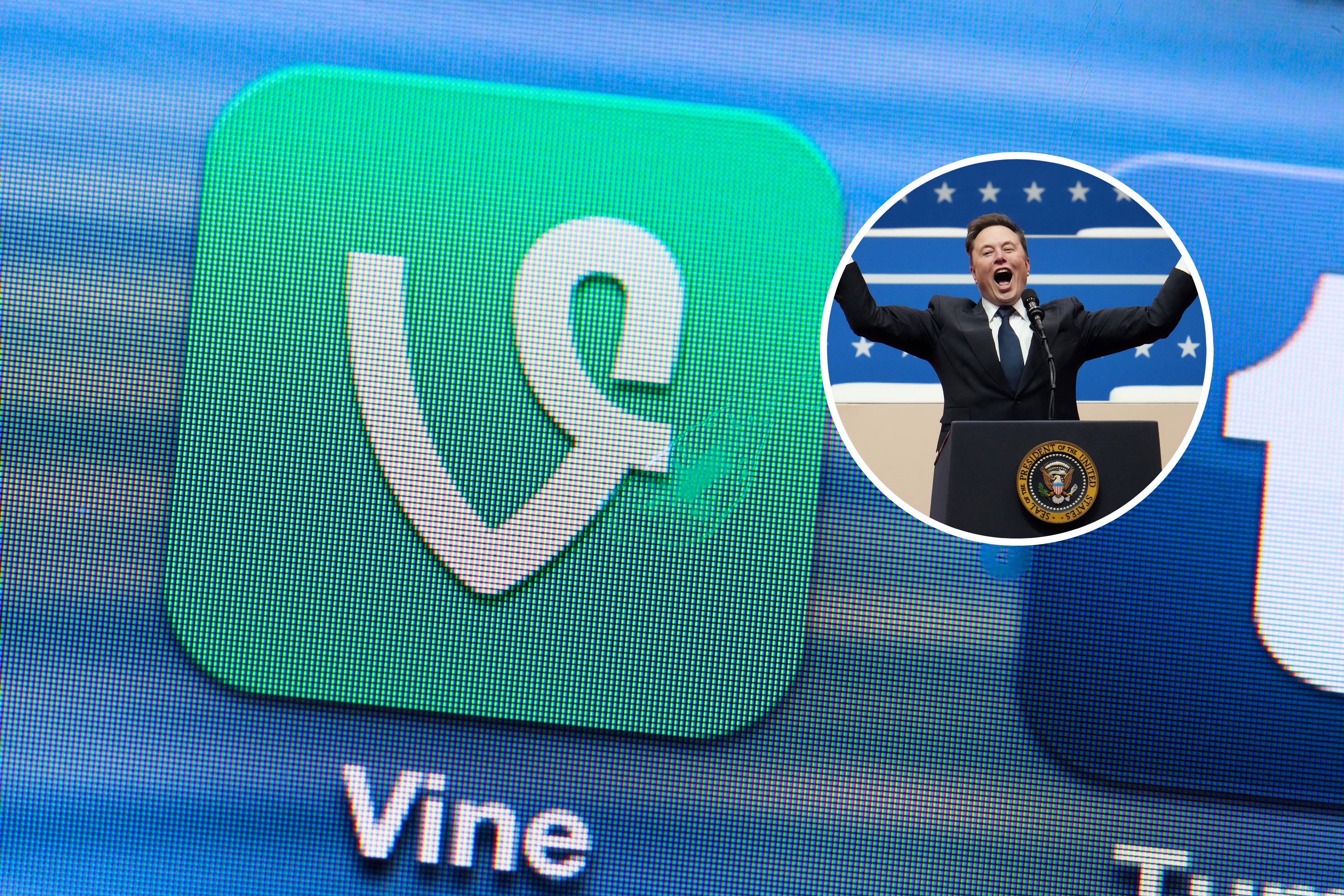 Vine Meme Coin Soars As Elon Musk Considers Resurrecting App