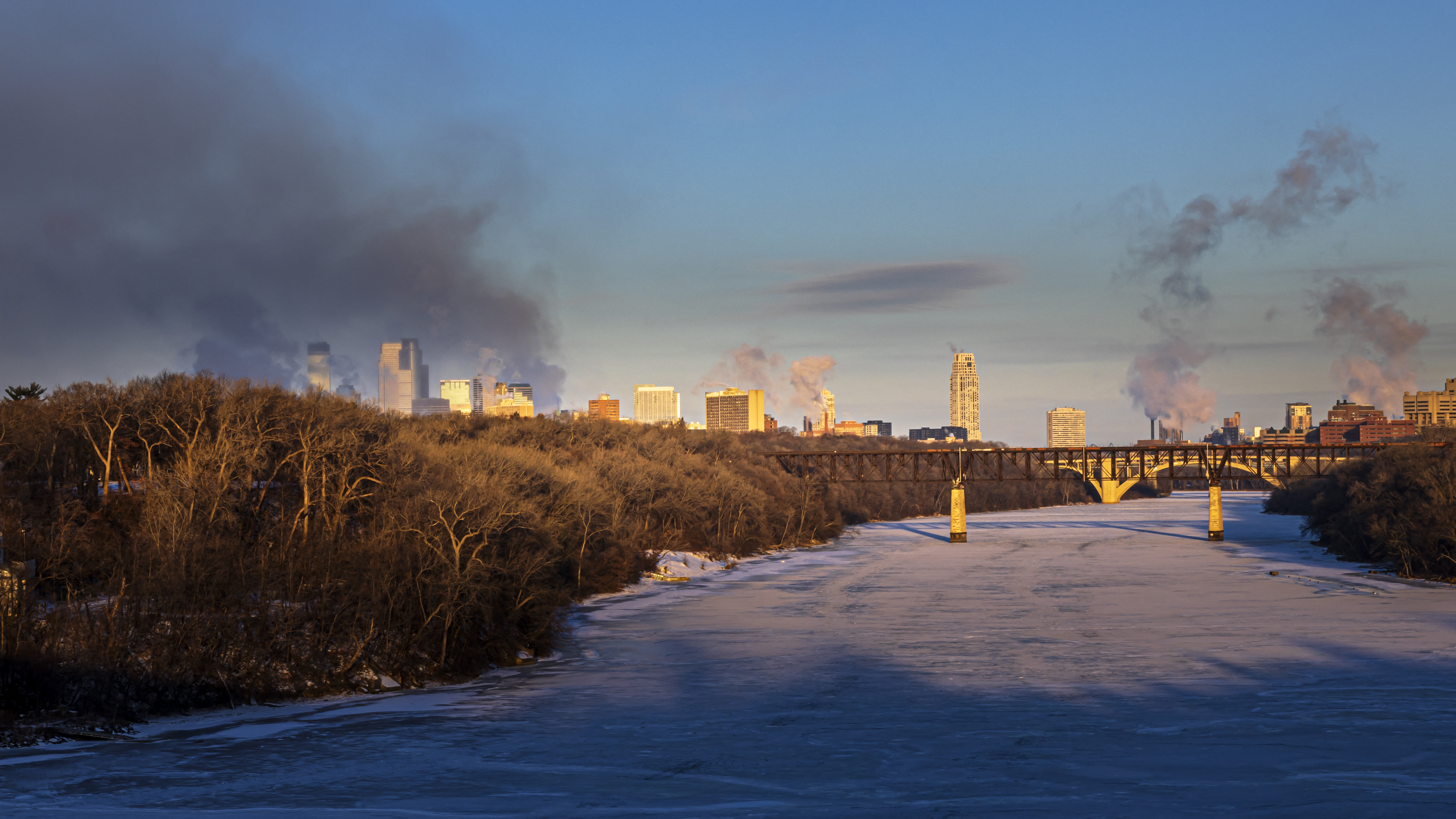 Dogs Freeze to Death in Illinois Dogs Freeze to Death in Illinois