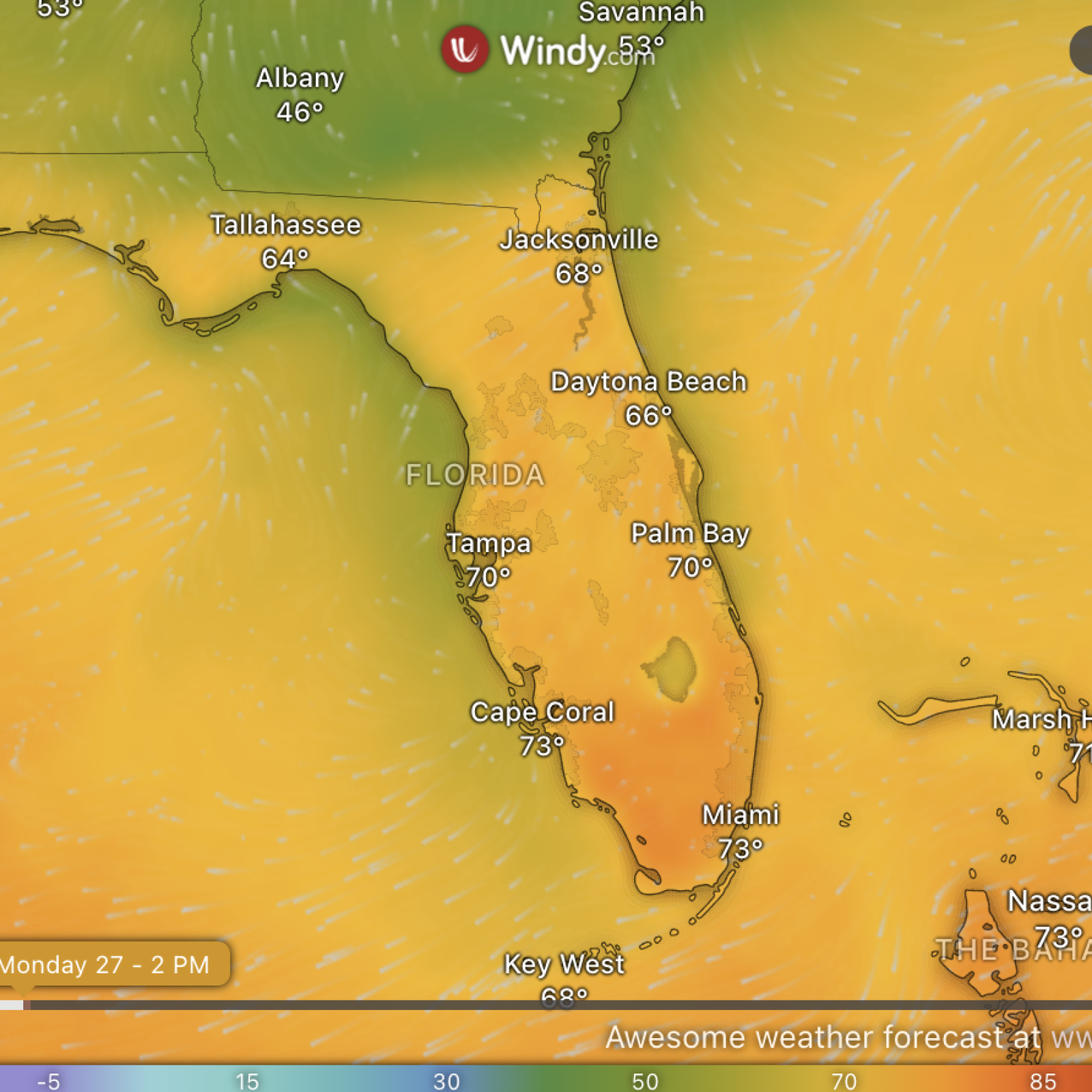 Average Temperature For Gainesville Florida