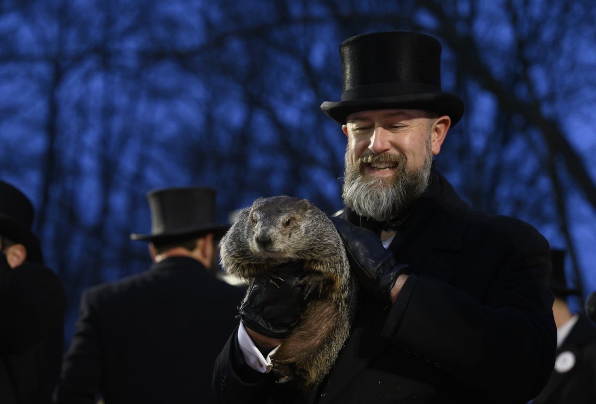 Groundhog handler AJ Dereume holds Punxsutawney Phil