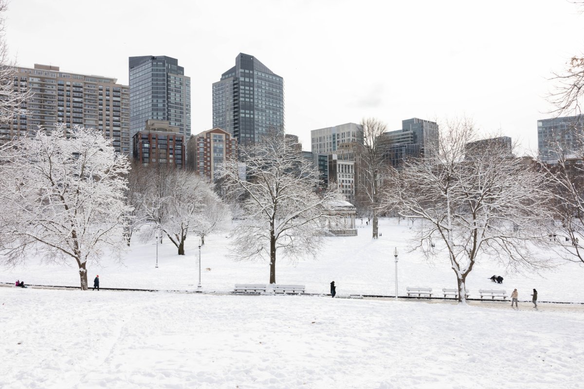 How Much Snow Is Boston Going To Get This Winter Boston Snow Squall: How Much Snow Is Expected? - Newsweek