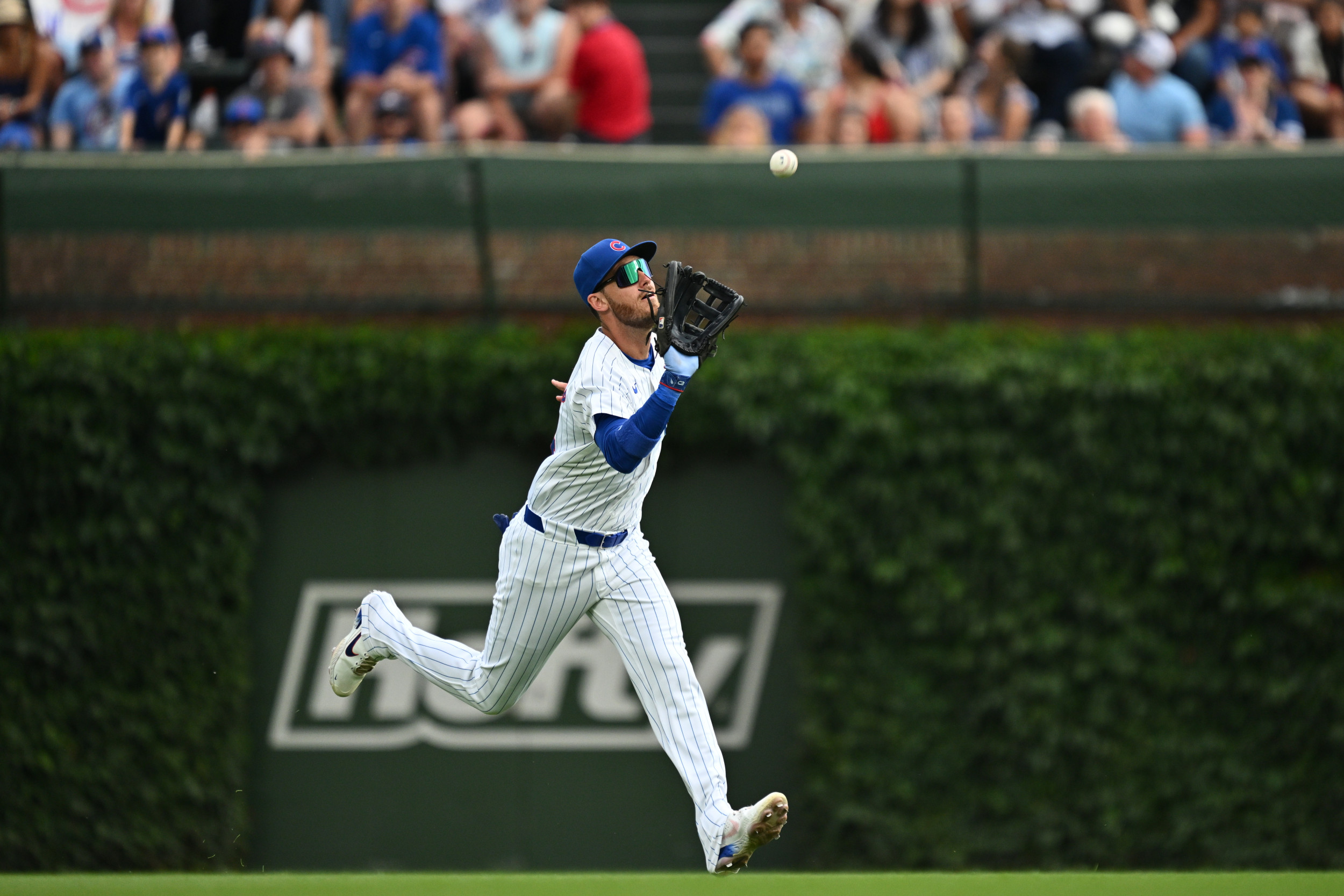 Yankees Confirm 2025 Outfield Strategy with Jasson Dominguez, Cody Bellinger