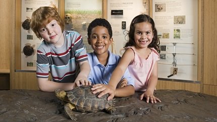 Diverse kids with tortoise