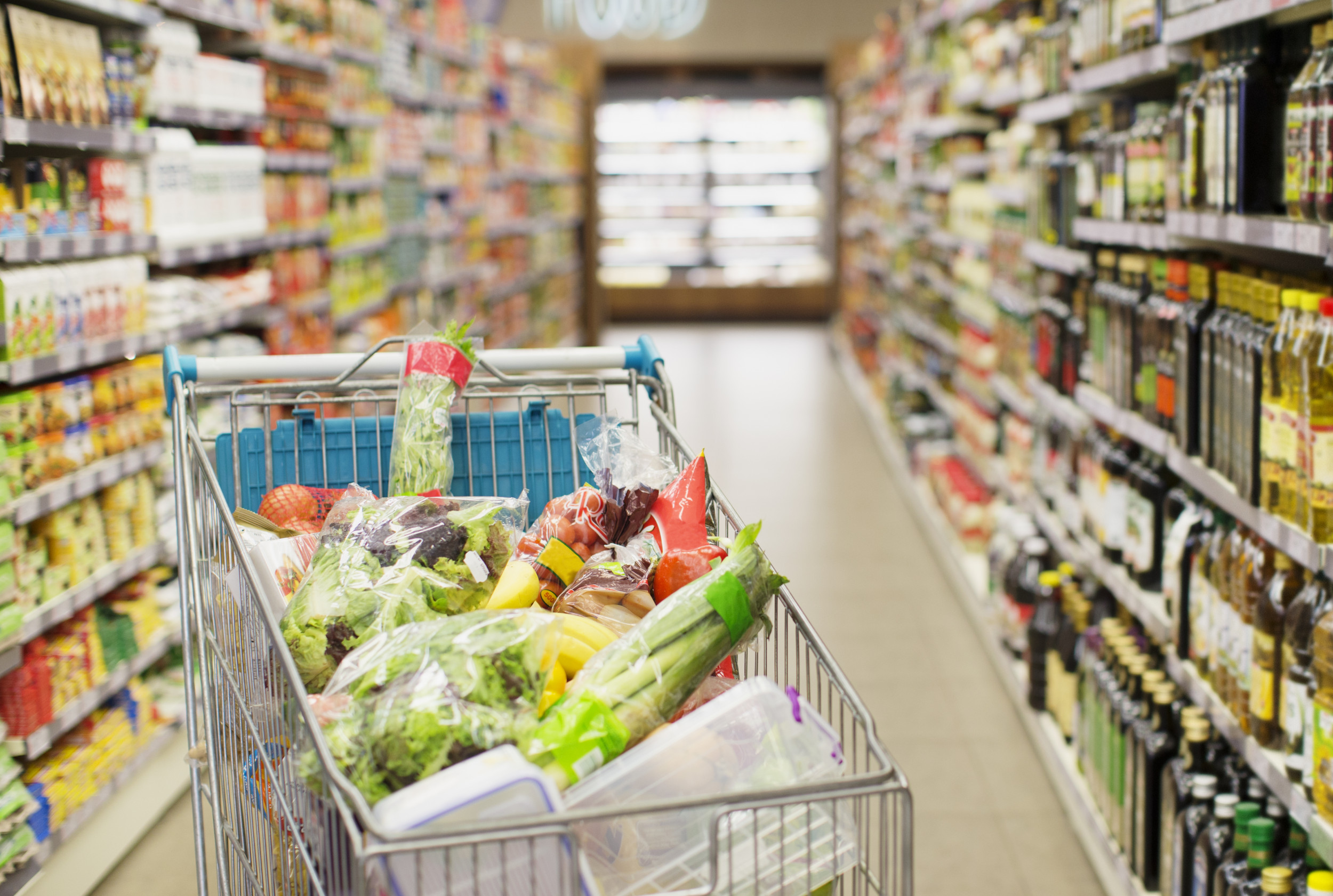 What Happens to SNAP Benefits as Trump Goes After Federal Aid