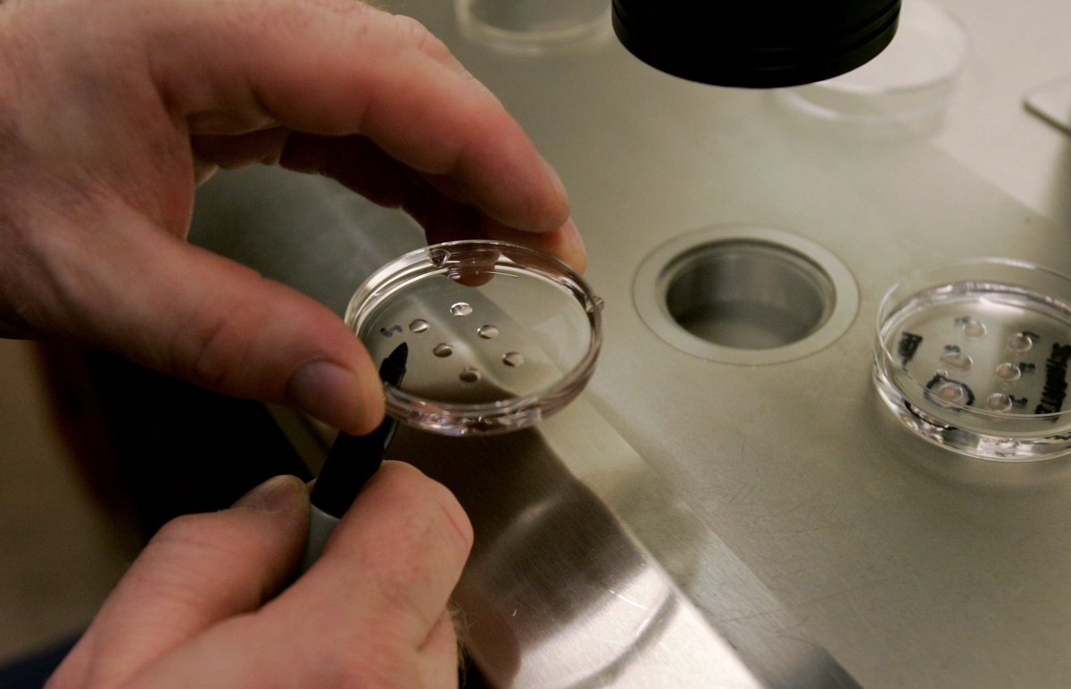 Embryologist holds a dish