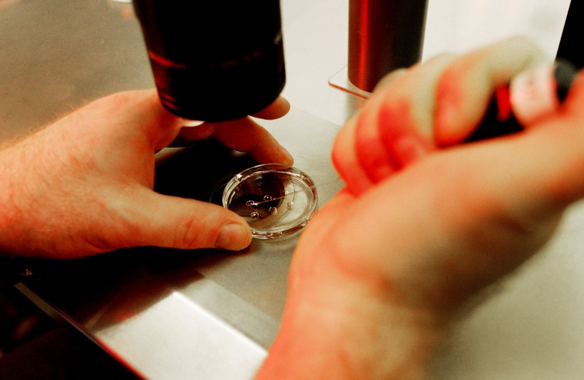 Embryologist holds a dish