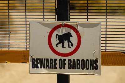 2025 Defender OCTA South Africa Baboons 2025 Defender OCTA South Africa Baboons