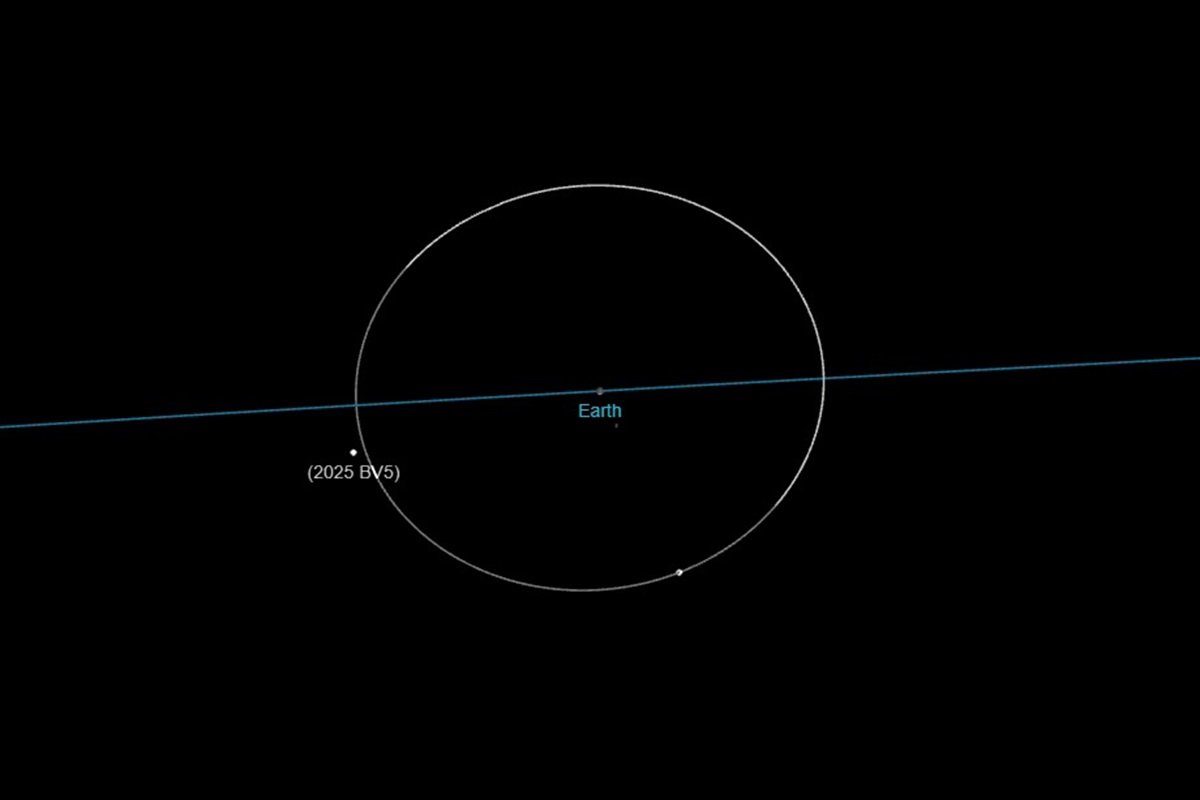 Orbits of Earth, moon and 2025 BV5