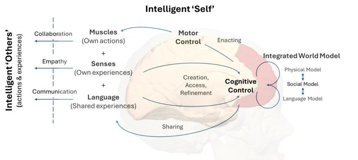 Illustration fundamental cognitive interfaces