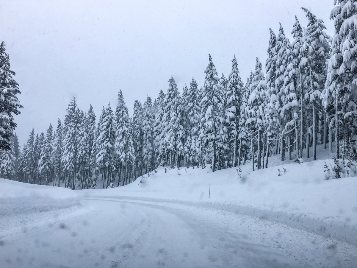 Snow mt hood