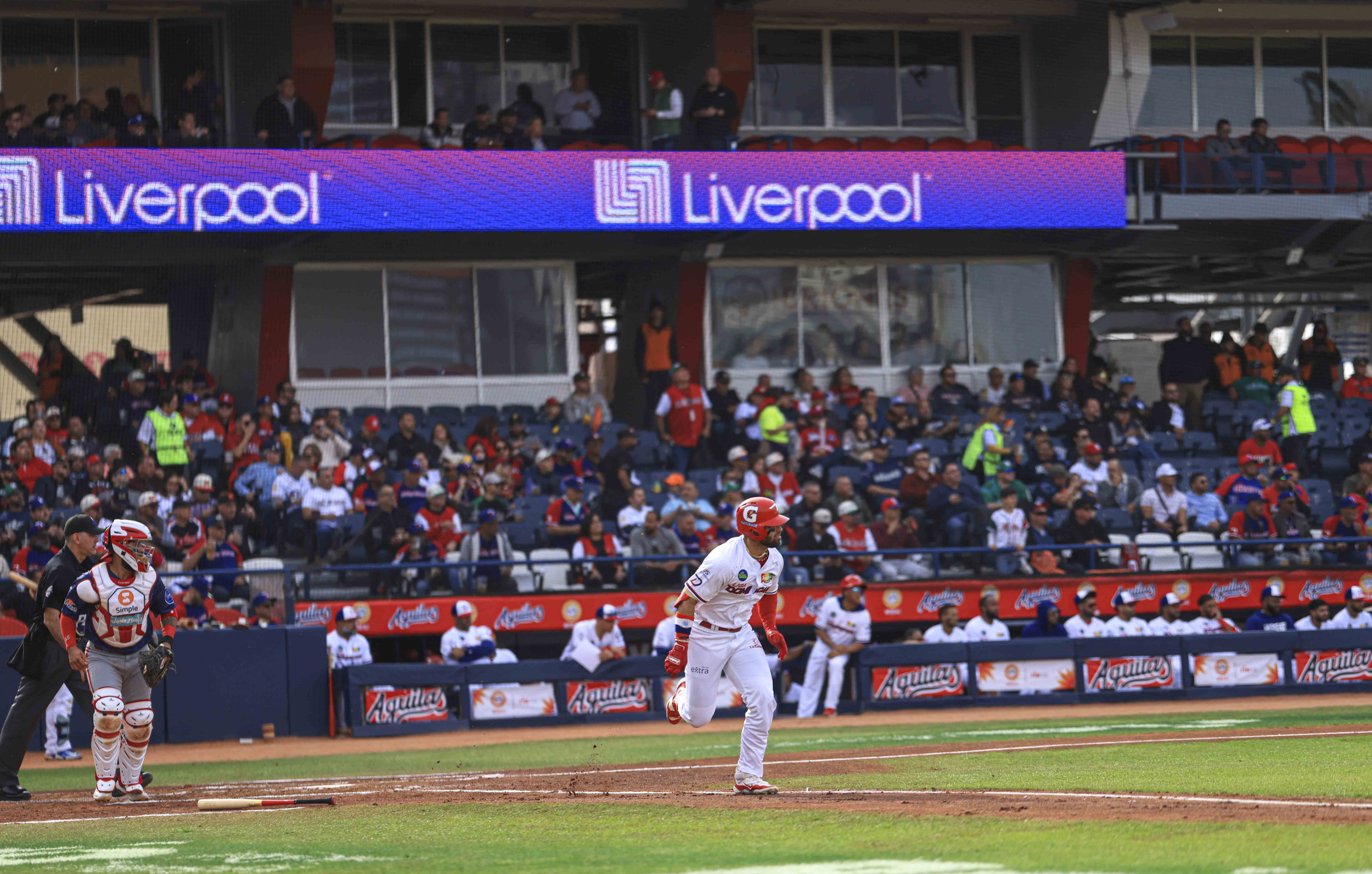 How to Watch Dominican Republic vs Japan, Live Stream Caribbean Series, TV Channel