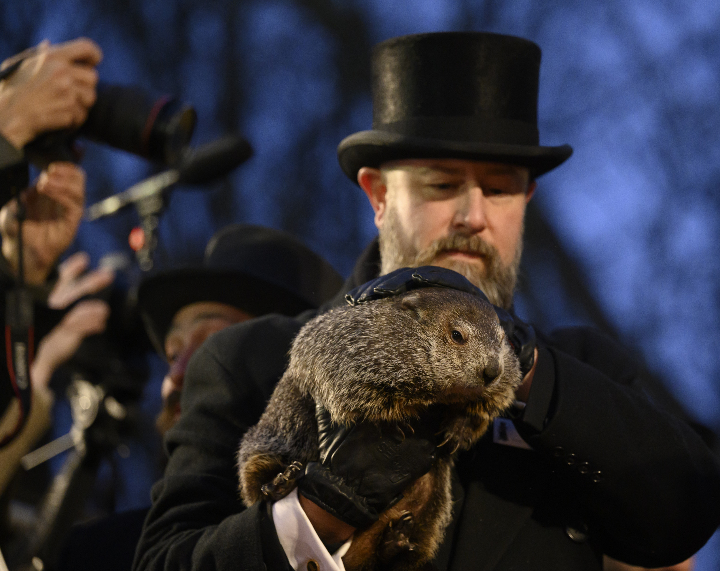 Shapiro Rejects PETAs Offer to Replace Punxsutawney Phil With Vegan Cake