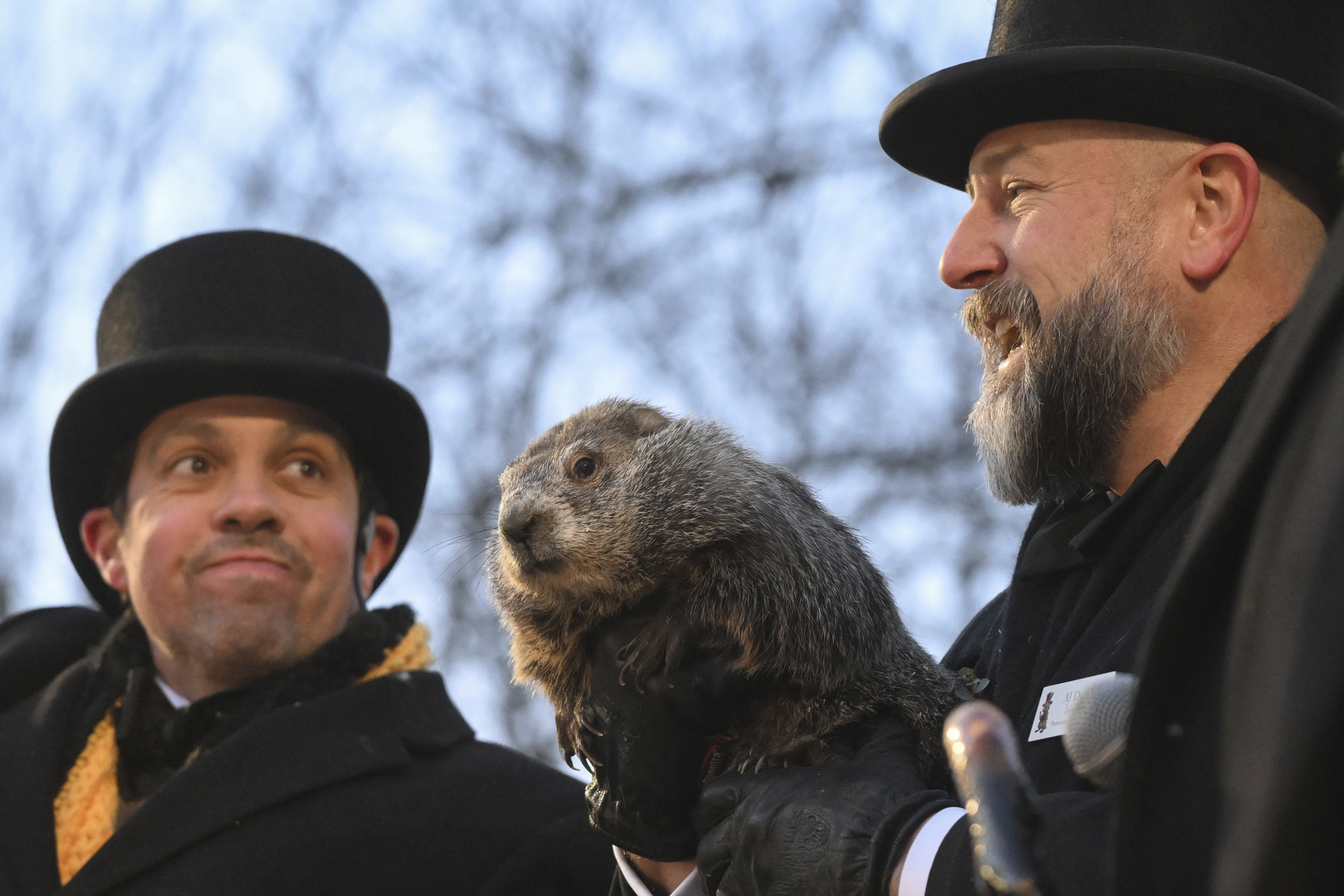 The Results Are In Punxsutawney Phil Makes His 2025 Groundhog Day