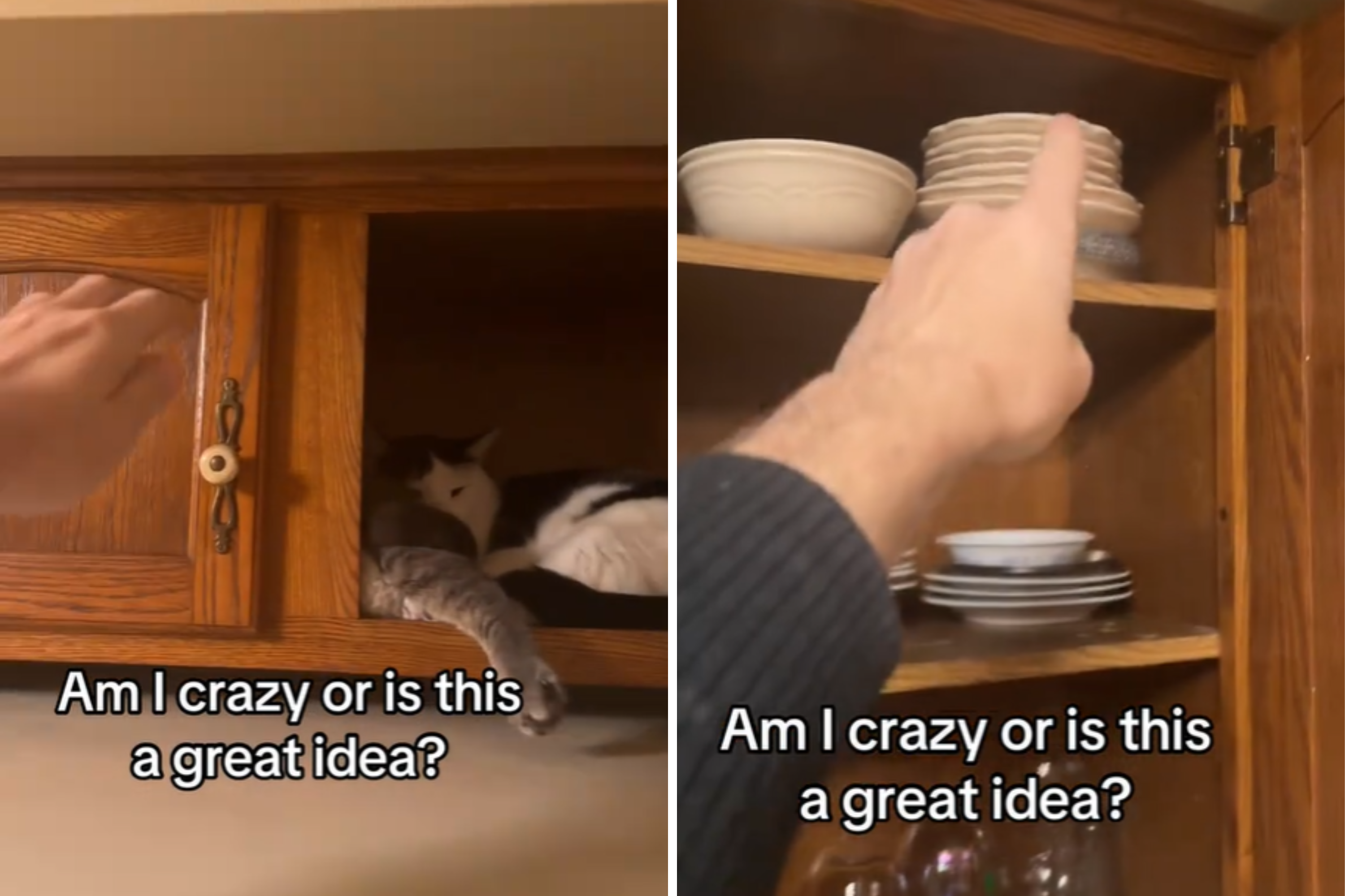 Man discovers cats' unusual new sleeping spot—he has a plan