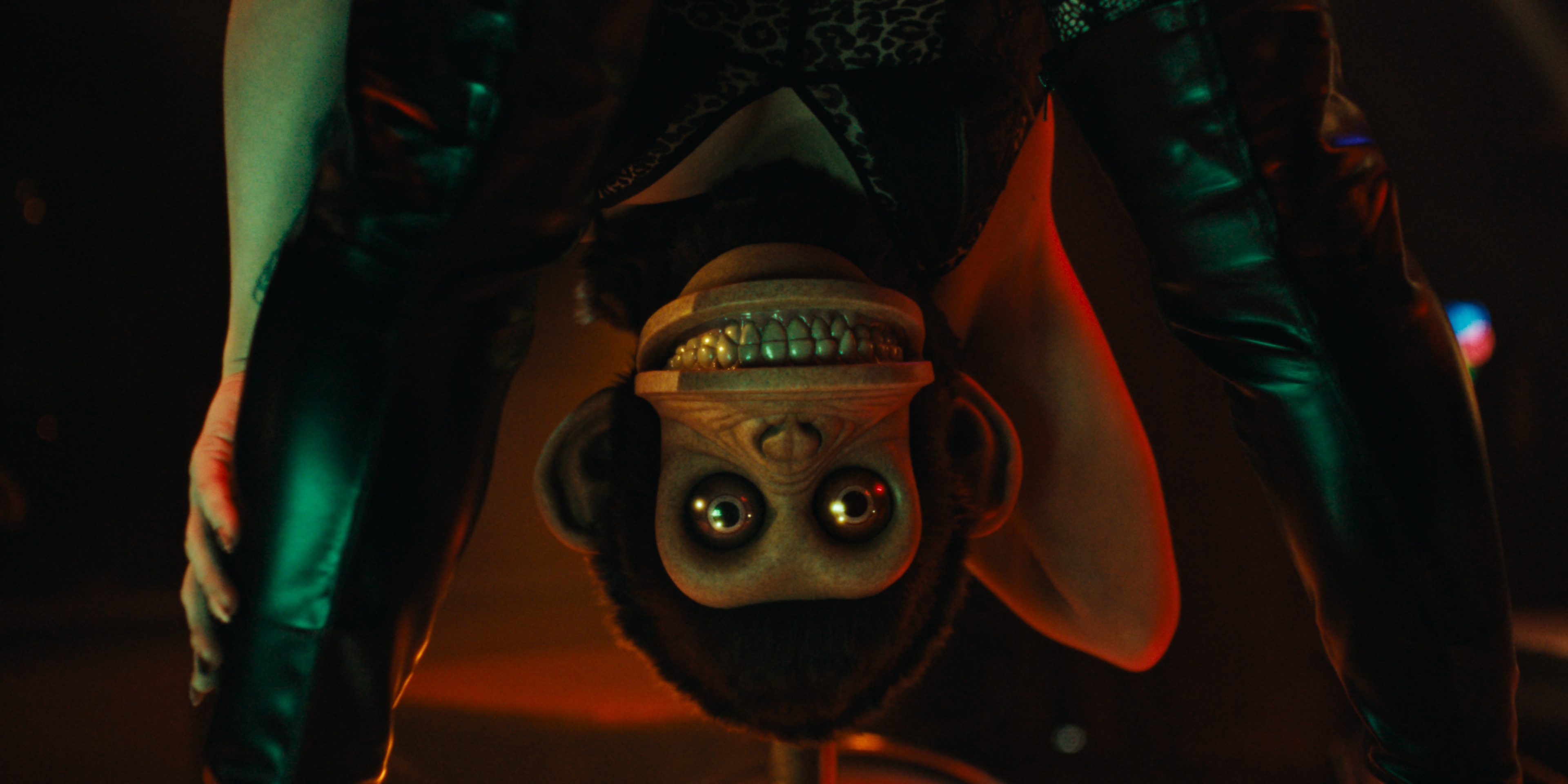 Critics Praise The Monkey Horror Comedy Ahead of Release