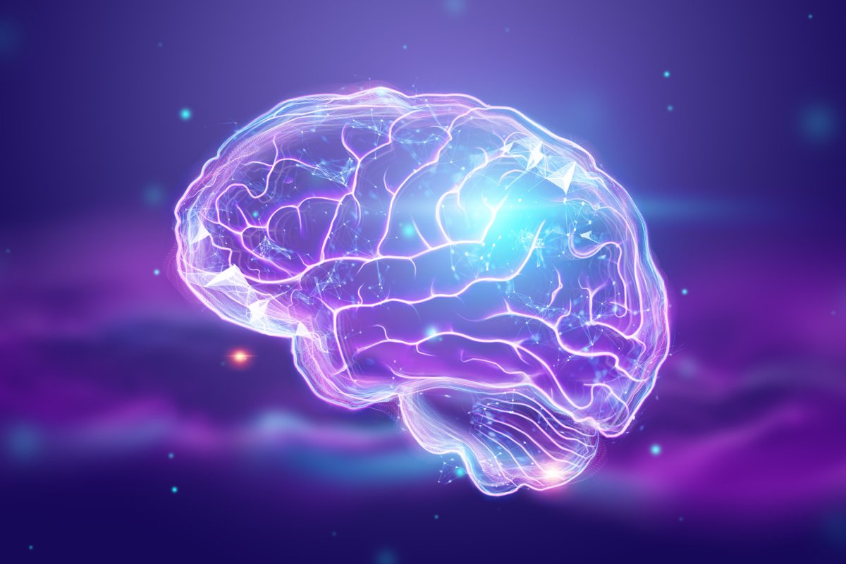 An artist's impression of a human brain