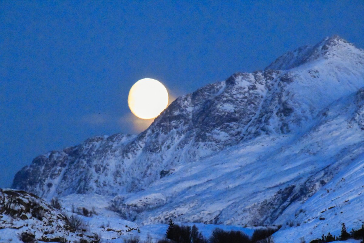 Stock image of a full moon