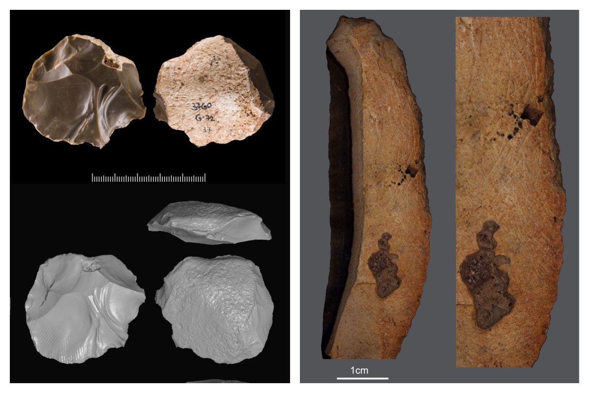 Paleolithic stone artifacts