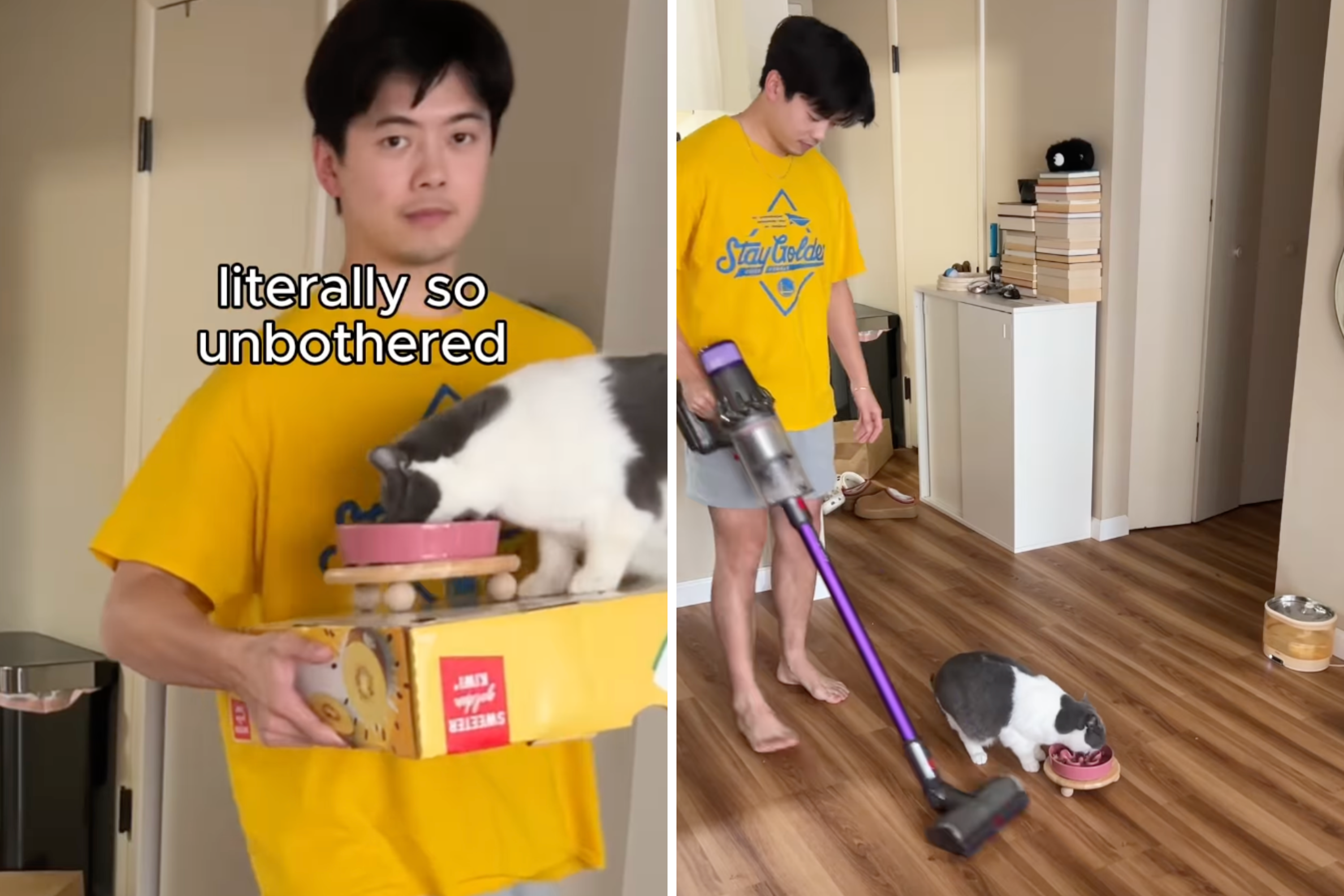 Hysterics As Owner Tries and Fails To Distract Food-Loving Cat From Meal