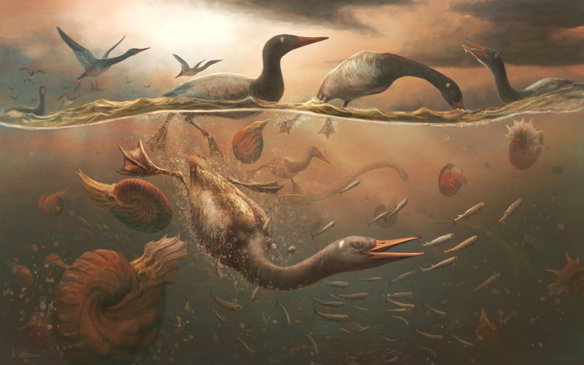 An artist's impression of Vegavis iaai