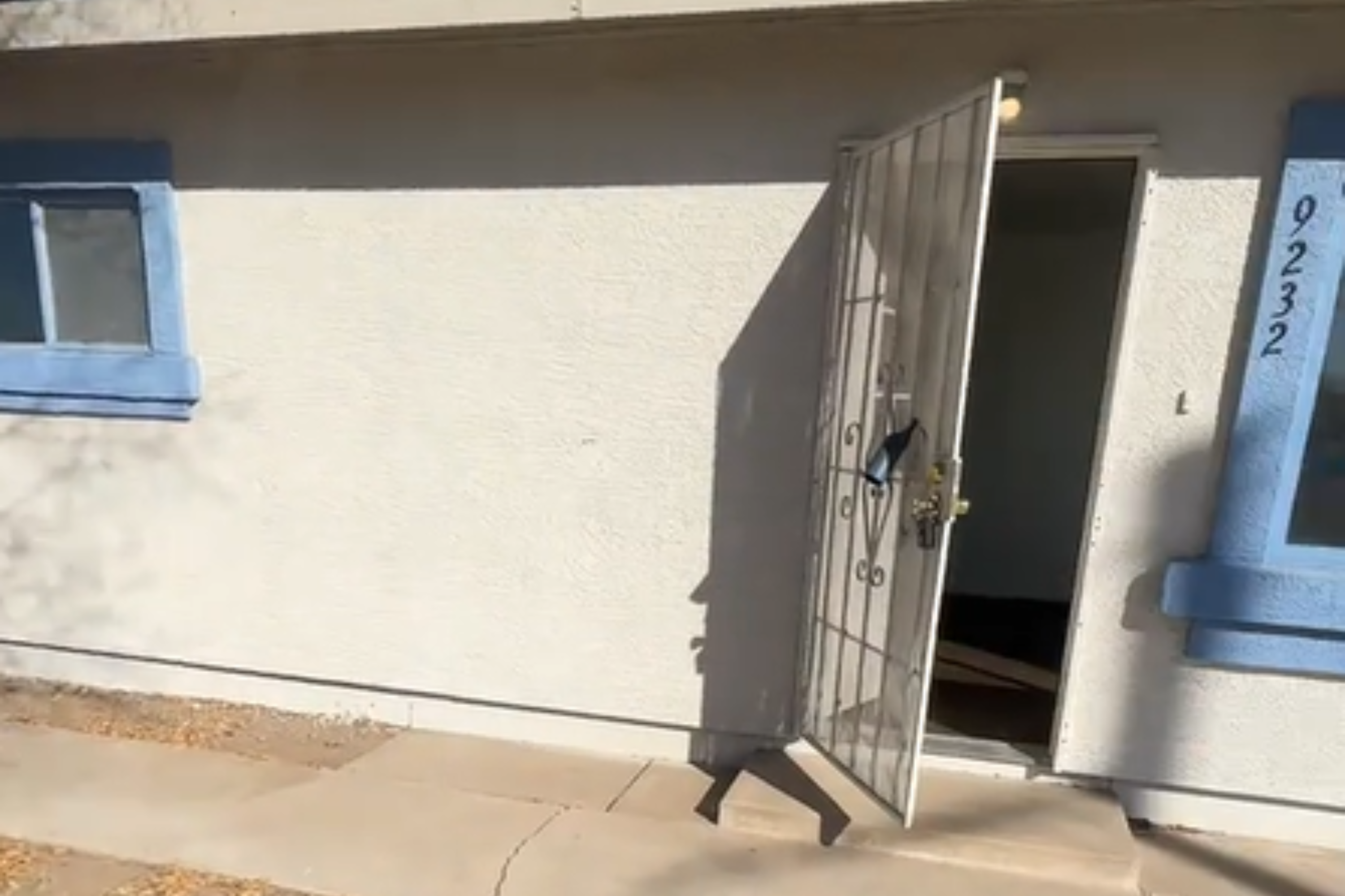 Realtor asks "why is this house so cheap?" then looks inside