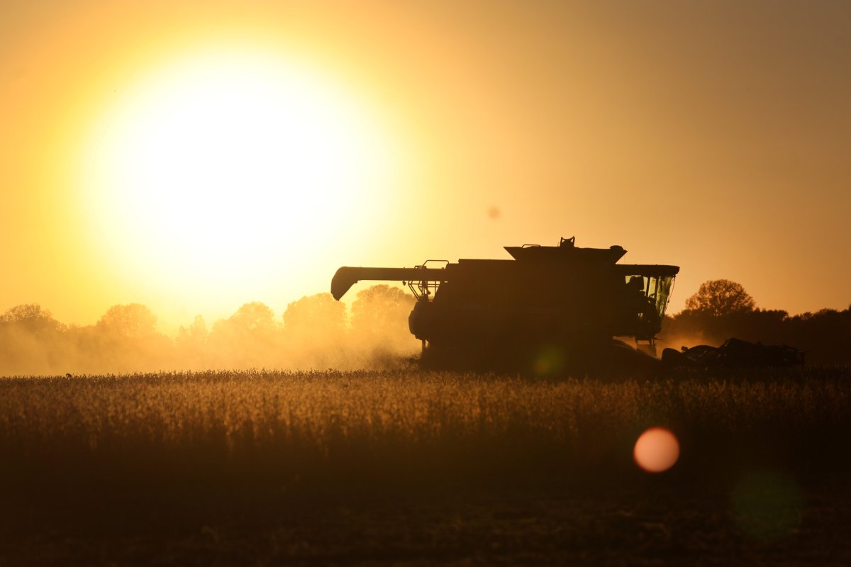 Farmer works in Missouri