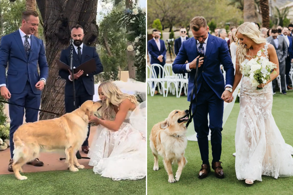 Bride surprised by dog