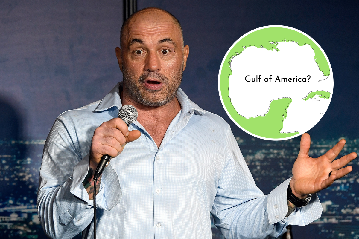 Joe Rogan Stand-Up Gulf of America Illustration