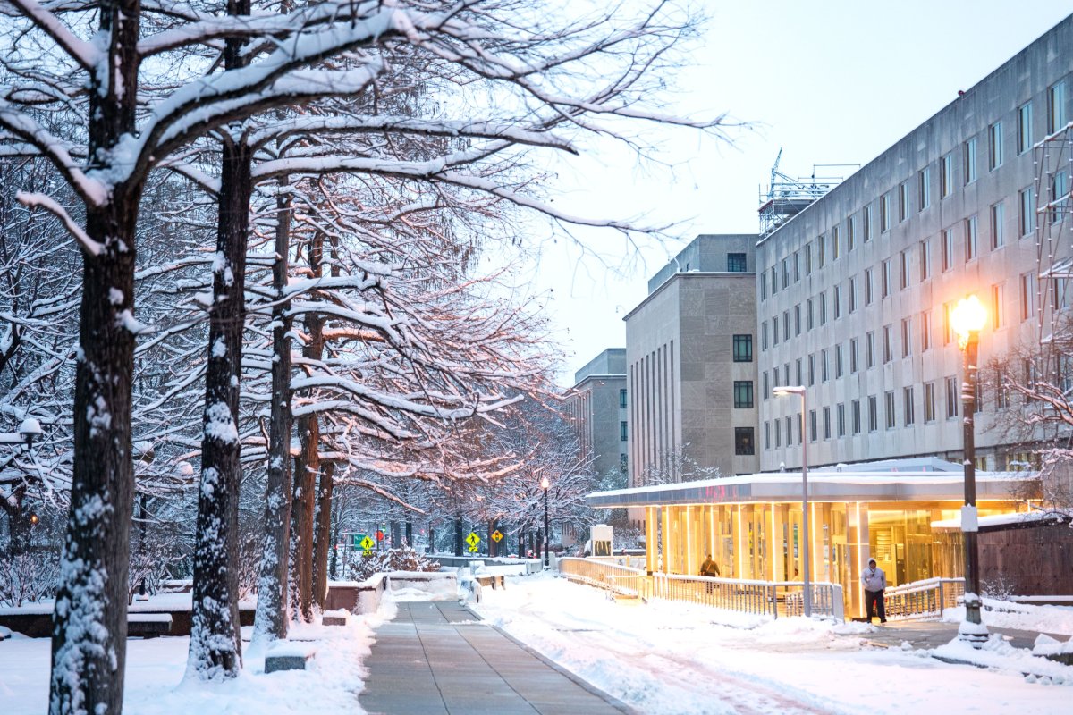 snow