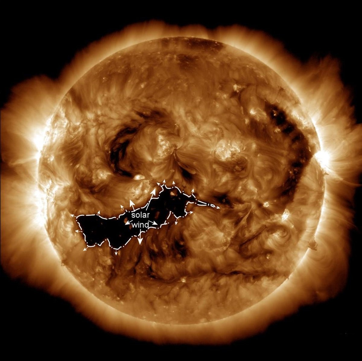 The coronal hole in the sun