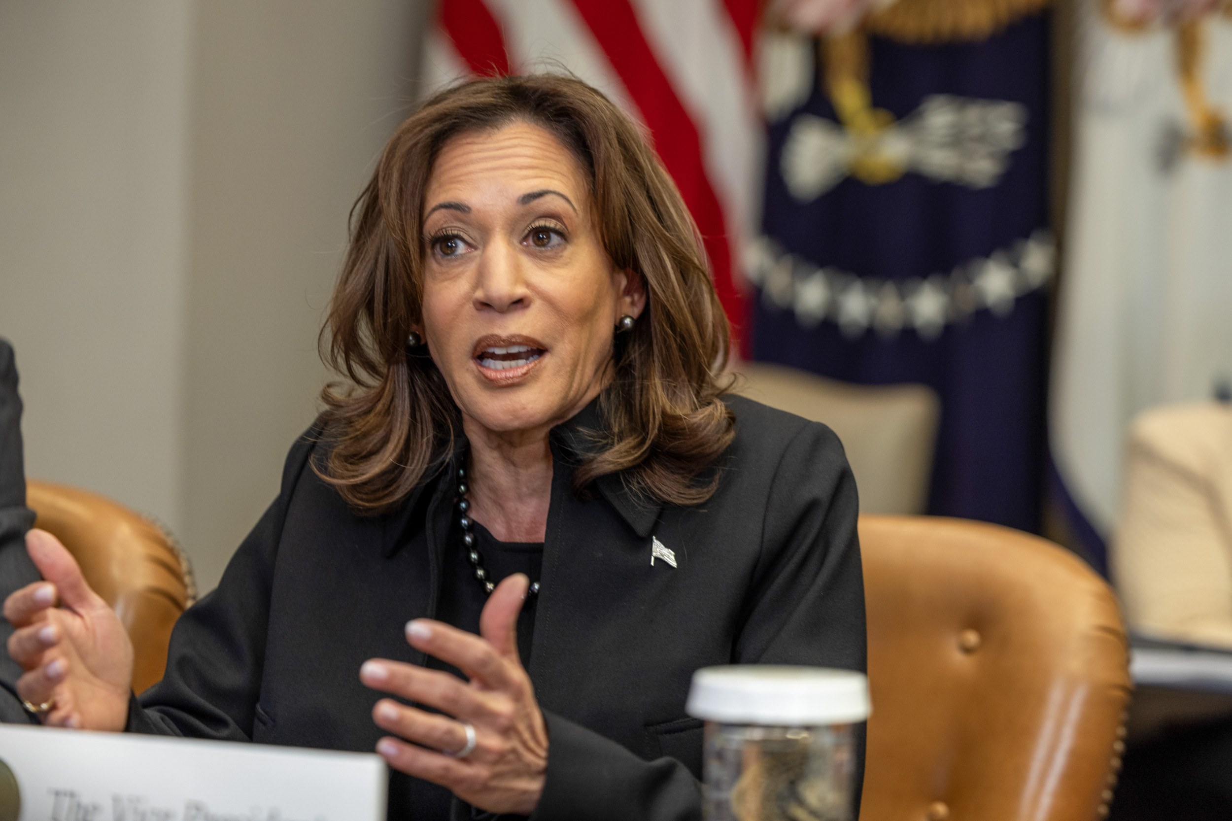 Trump Official Hints at Potential Governors Run if Harris Throws Hat In