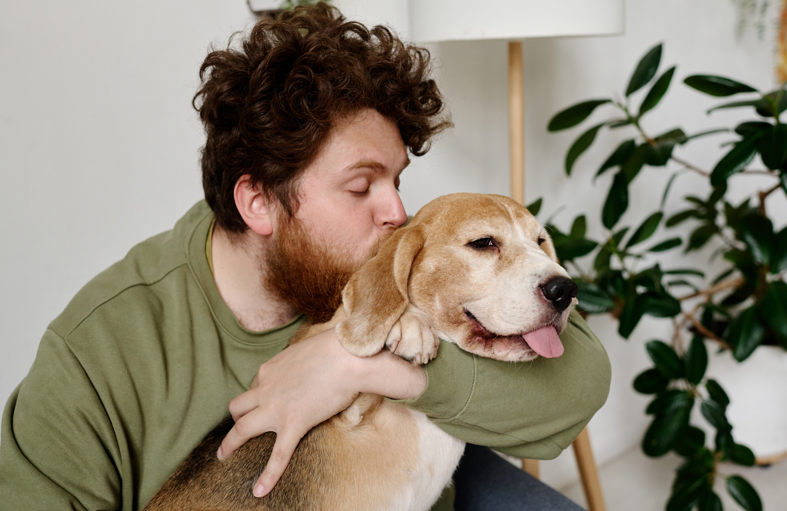 Senior Dog Expects Final Years in Shelter—Tears at What Happens Instead