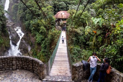 Ecuadorign Rainforest Bridge Ecuadorign Rainforest Bridge