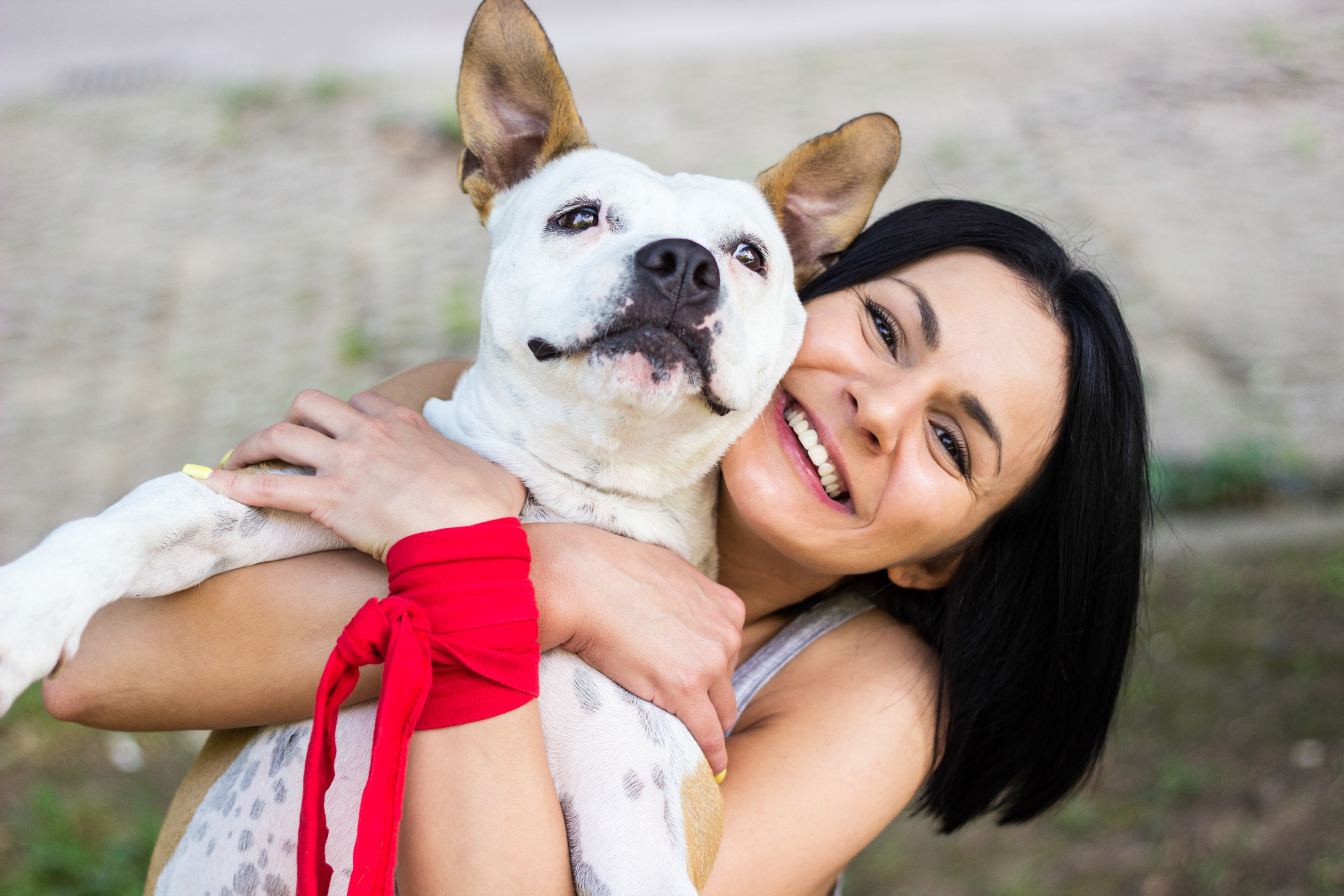 Tears at What Happens To Shelter Dog After 4 Failed Adoptions