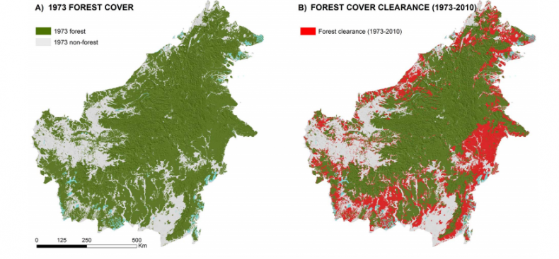 Borneo deforestation study