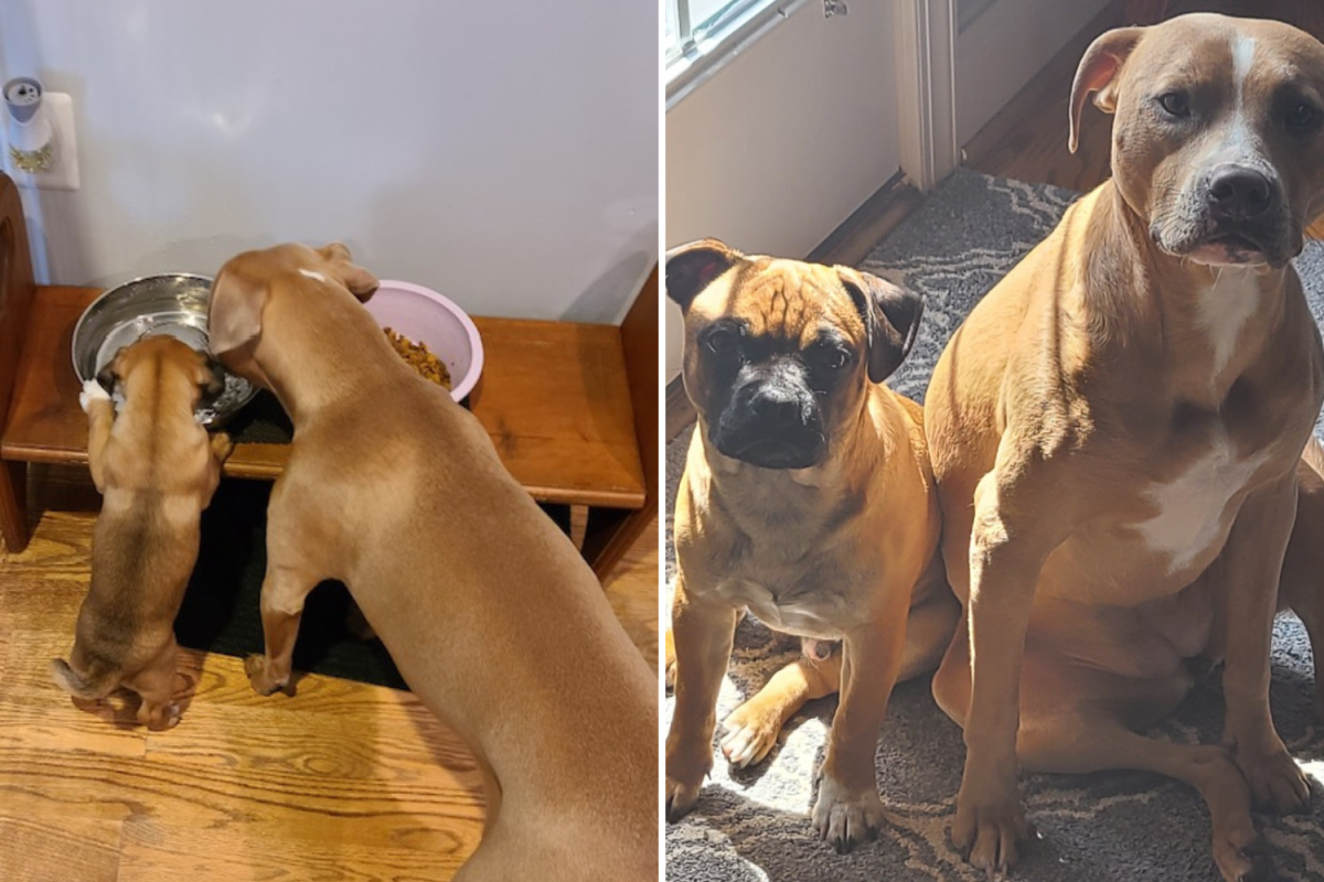 Frank and Minnie