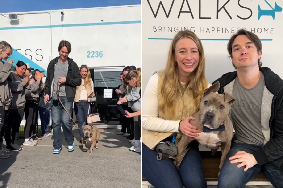 Longest resident adopted