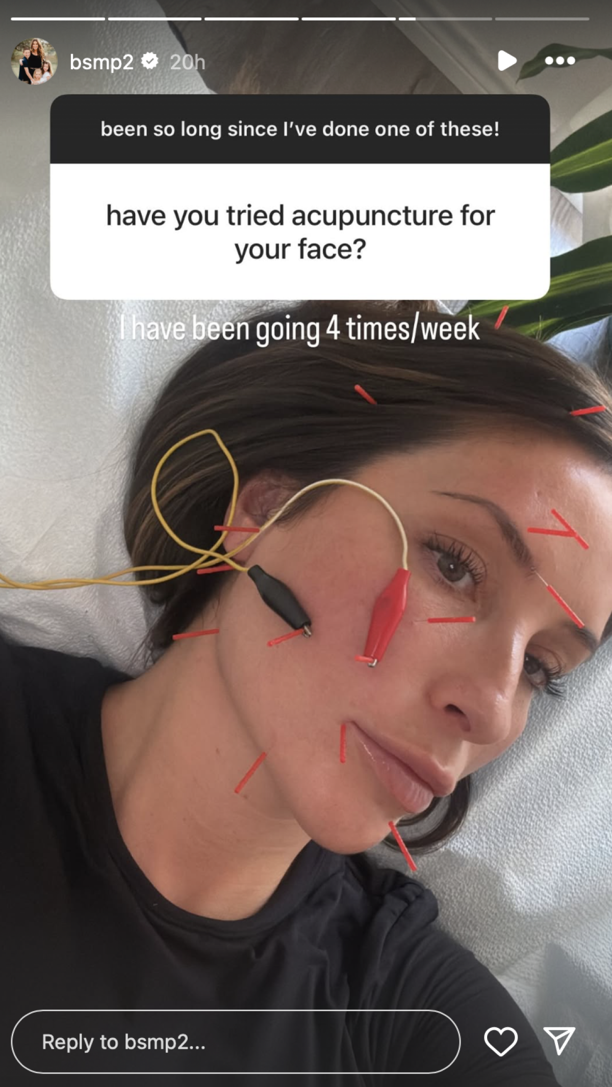 Bristol Palin
