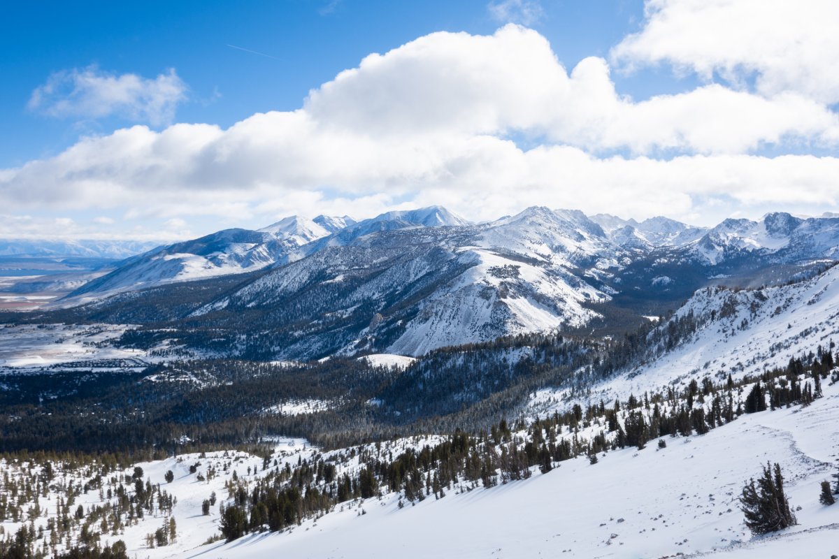 California 2025 Snowpack Compared to Lowest Level as Warning Issued - Newsweek