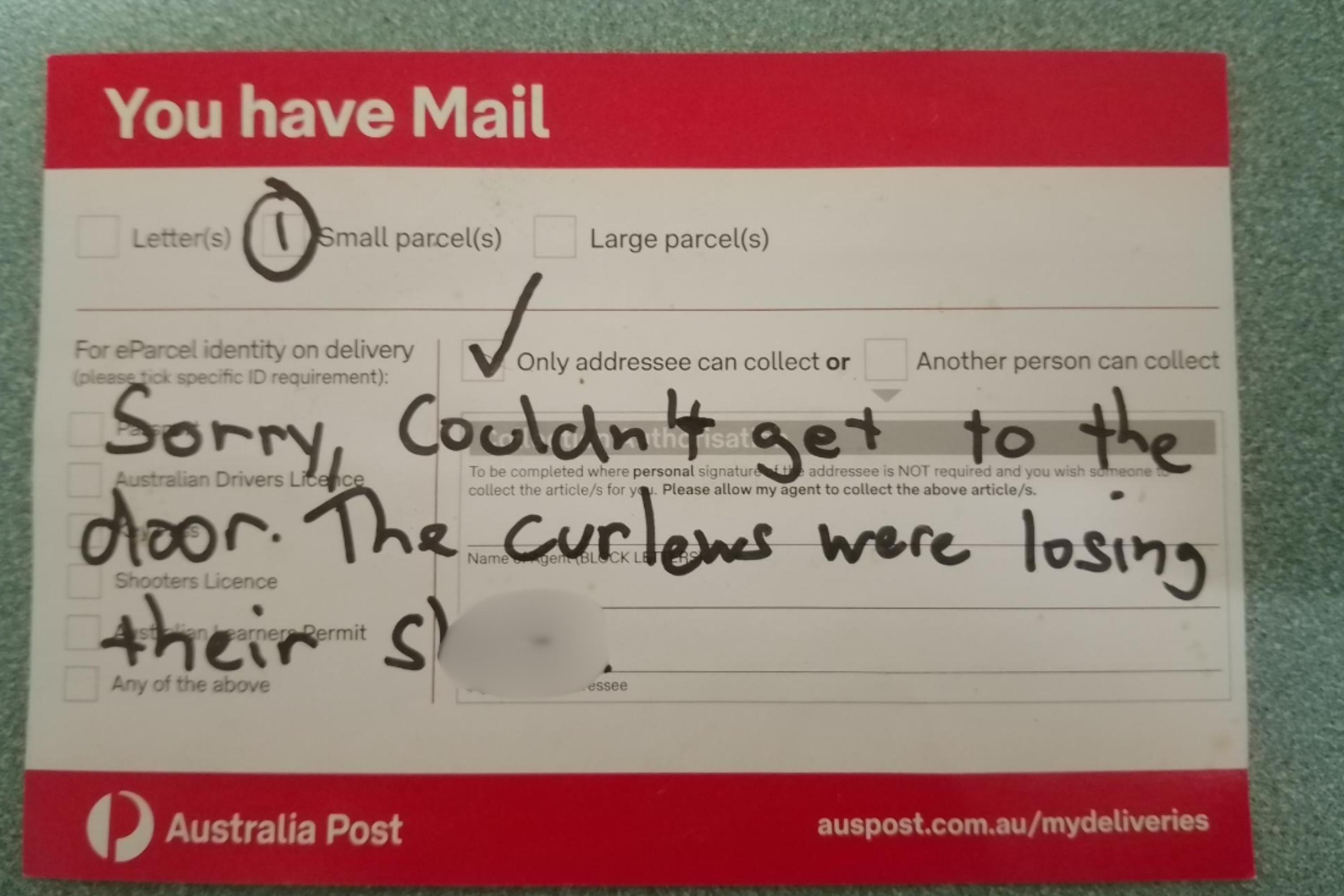 Man Expected a Package Delivery—Then Found a Wild Note Instead