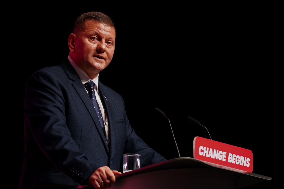 General Valery Zaluzhny Zelensky Replacement